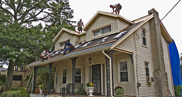 Best Roof Gutter Cleaning  in East Rutherford, NJ